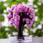 sakura čarobno drvo
